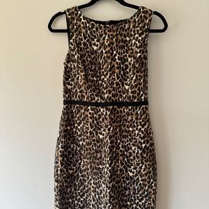 LOFT Leopard print sleeveless pencil dress, Size 0
